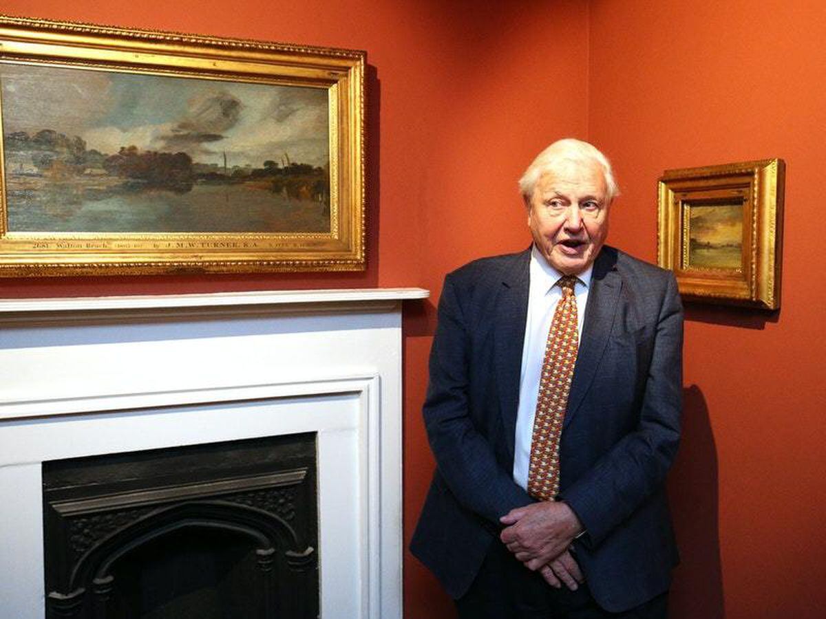 Sir David Attenborough says environmental protests should not break ...