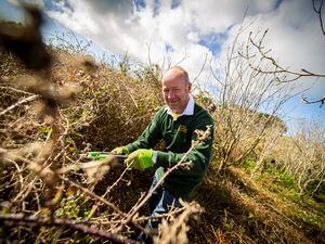Guernsey Conservation Volunteers member Ian Wood cutting back brambles at Bordeaux to help native trees survive on the former landfill site. (Picture by Sophie Rabey, 31920318)