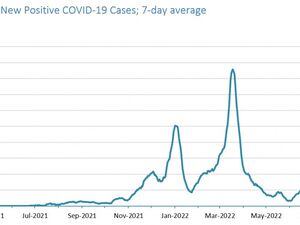 This graph from the States shows the seven-day average in the number of Covid cases.