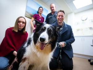 Finn the Border collie is well on the road to recovery after becoming the first dog to have a hip replacement locally. The procedure was carried out by vet Dr Les Blerk with assistance from student veterinary nurse Chloe Gilman, standing behind. In front are Finn’s owners, Hayley Davis and Tobar MacPhail. (Picture by Peter Frankland, 31536176)