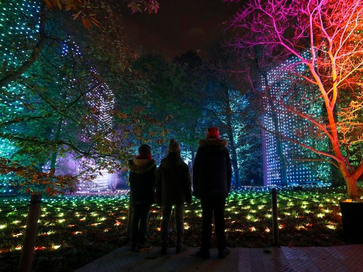 In Pictures Spectacular Christmas light show at Kew Gardens Guernsey