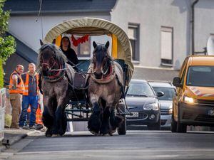 German woman swaps SUV for real horse power to save money on work commute