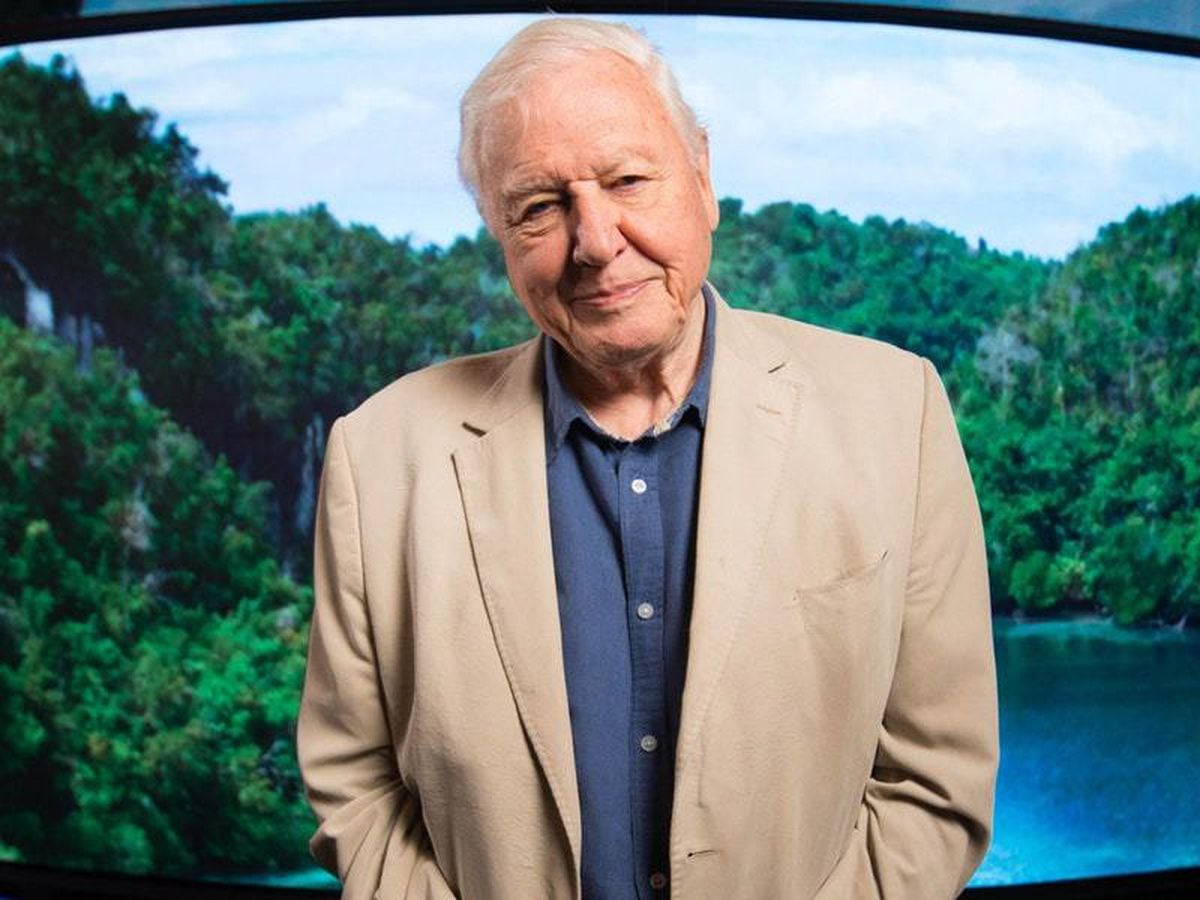 Sir David Attenborough explores challenges and ‘variety of life’ in new