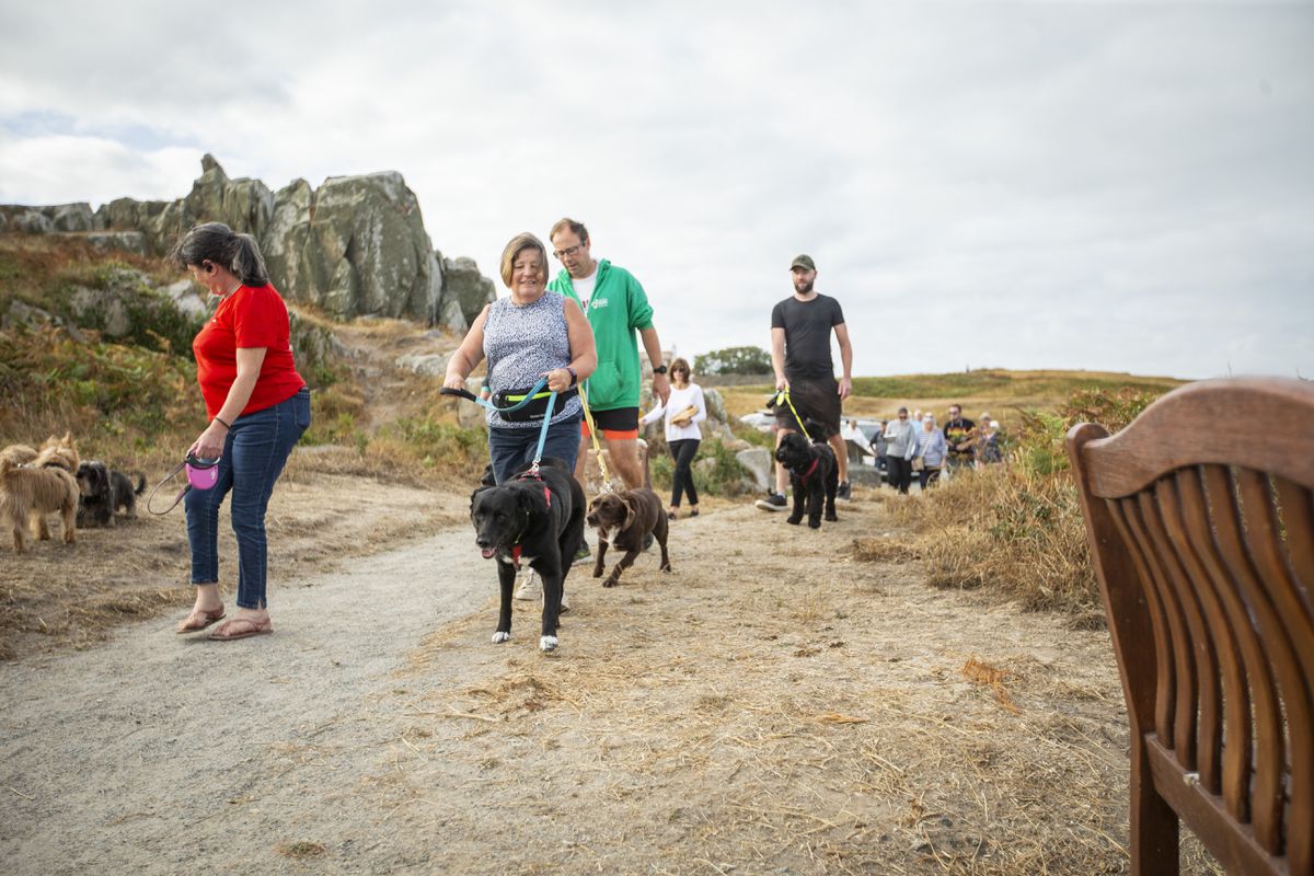 Plenty of dog walkers were out on L’Ancresse Common last Saturday. (Picture by Luke Le Prevost, 31091042)