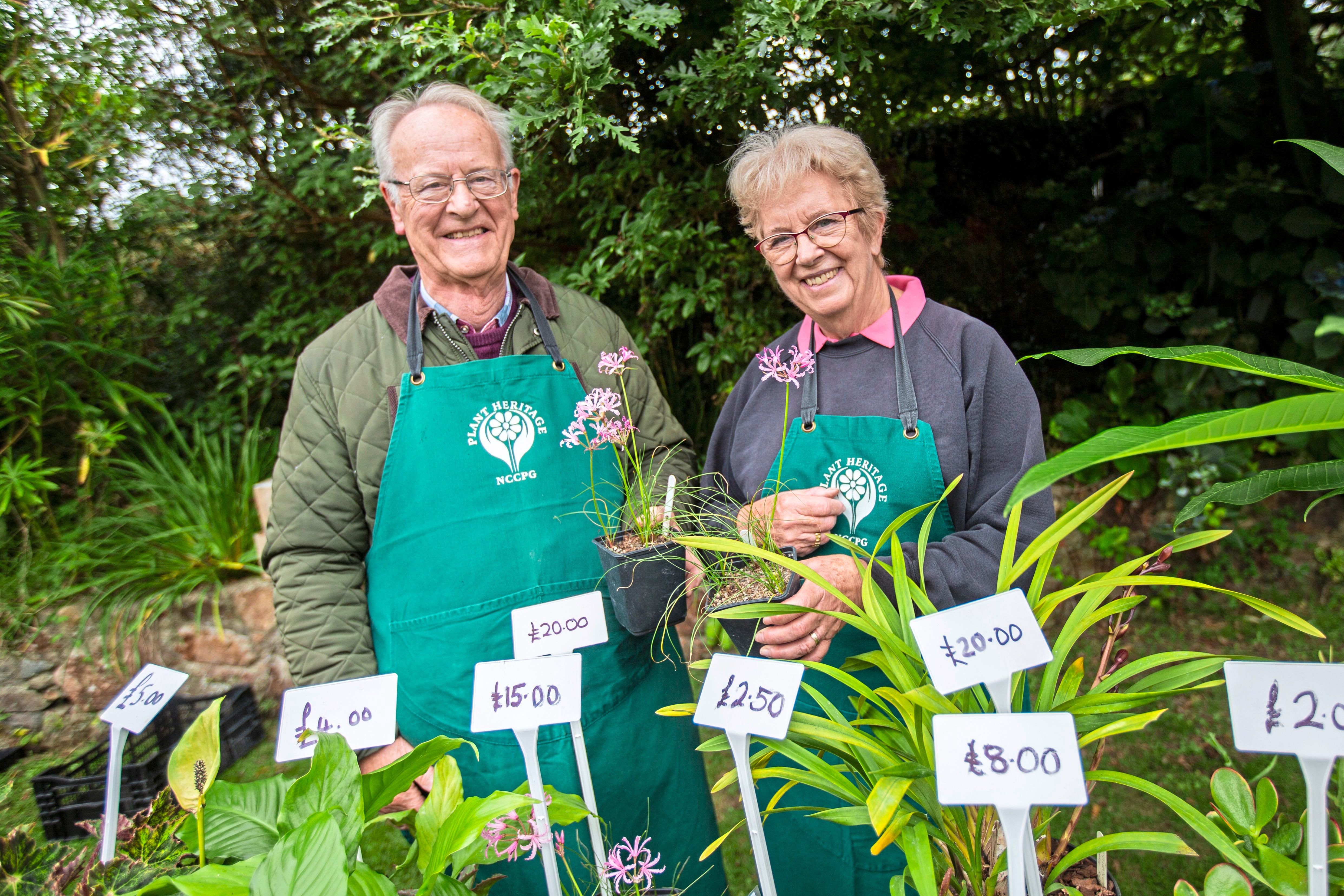 Plant Heritage sale rounds off a good year