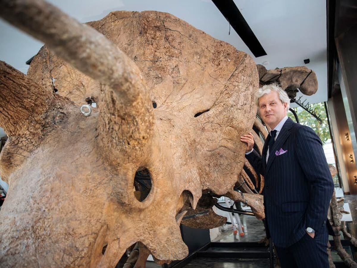 World’s Biggest Triceratops Skeleton Sells For £5.5m In Paris ...