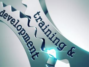 Training and development. (31222108)