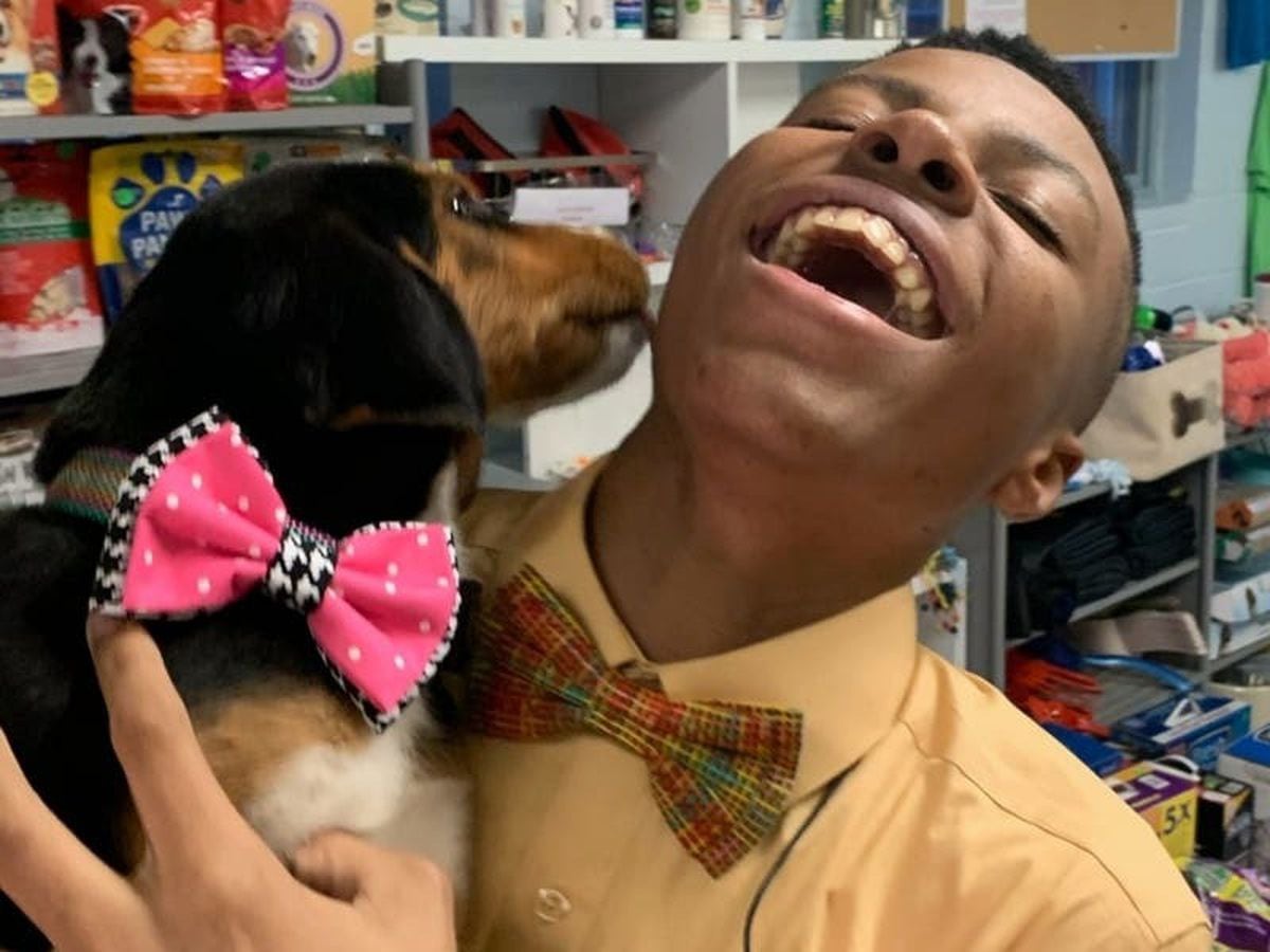 teenager-makes-bow-ties-for-shelter-dogs-to-help-them-get-adopted