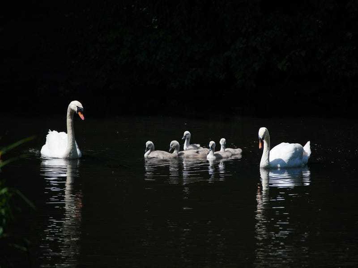 temperatures-to-rise-again-next-week-with-dry-and-sunny-weather