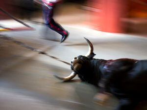 Spanish law strengthens animal rights – with exemption on bullfights