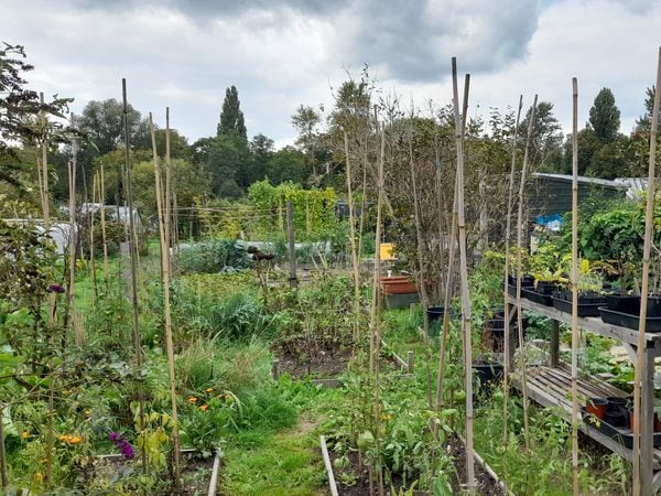 View from the polytunnel. (Picture by Paul Savident) (31293212)