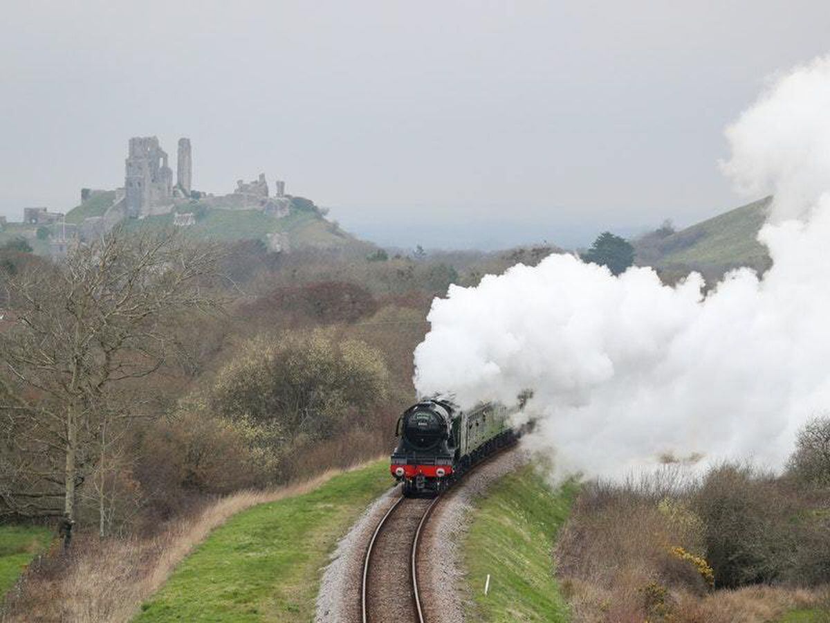 live steam flying scotsman for sale