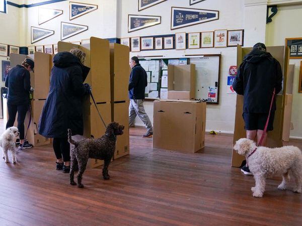 Early Australian election vote count indicates close result