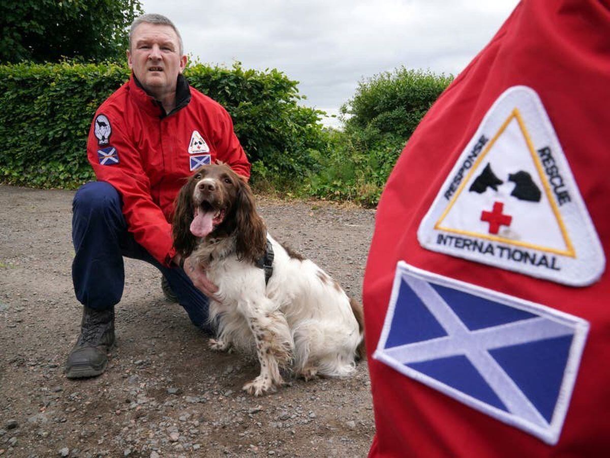 Dog search team steps up training ahead of Ukraine deployment to find bodies