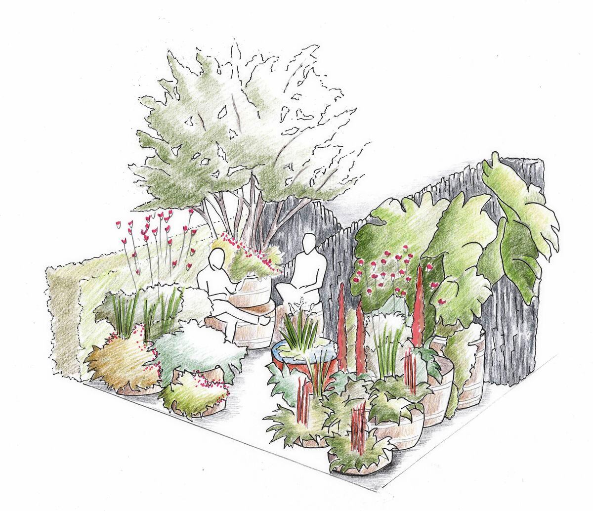 Still Garden illustration by Jane Porter. (30697839)