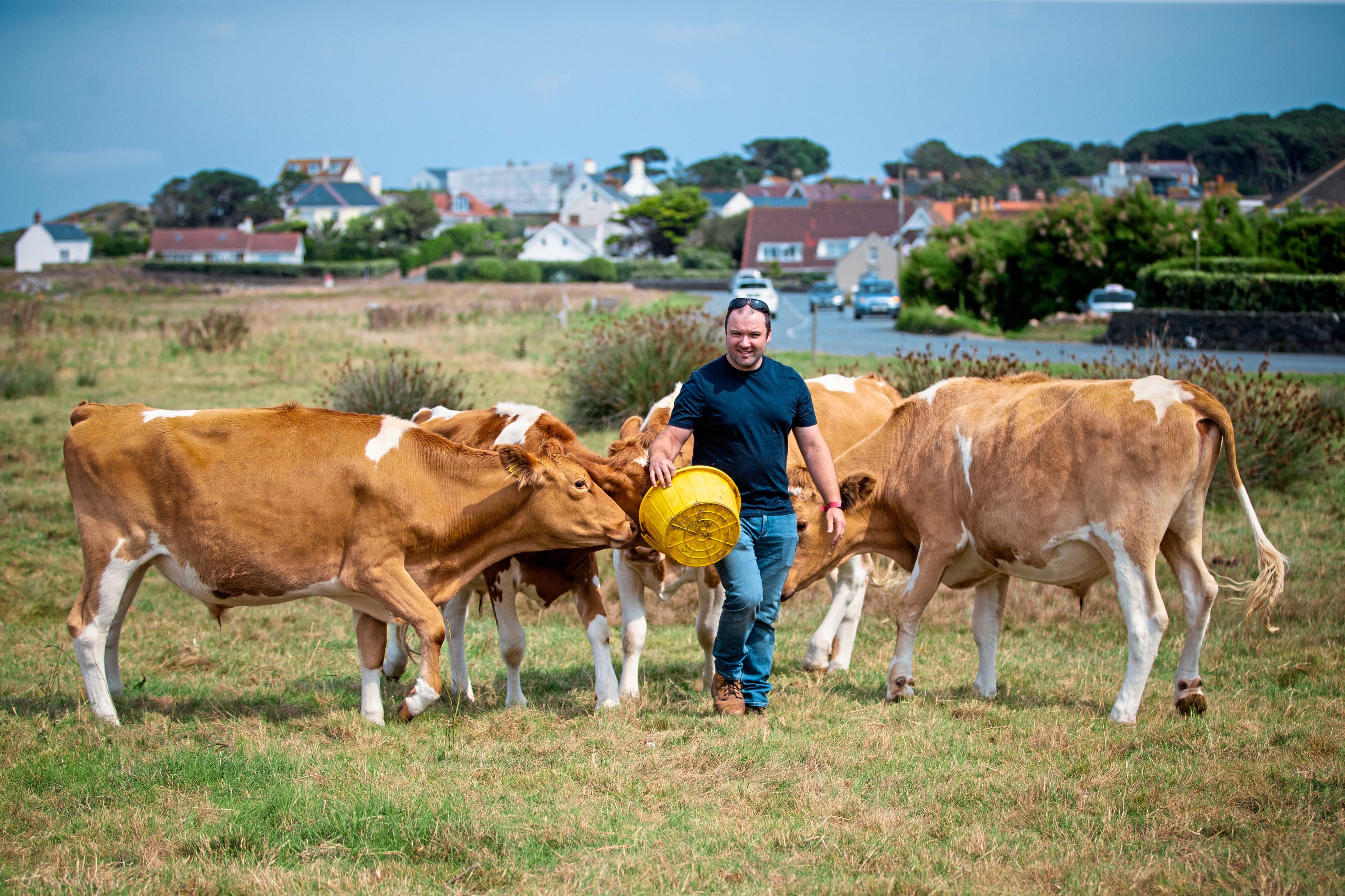 New manager keen to ‘increase exposure’ for Conservation Herd