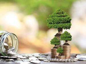 Trees growing on coins money and glass bottle on green background, investment and business concept. (30970129)
