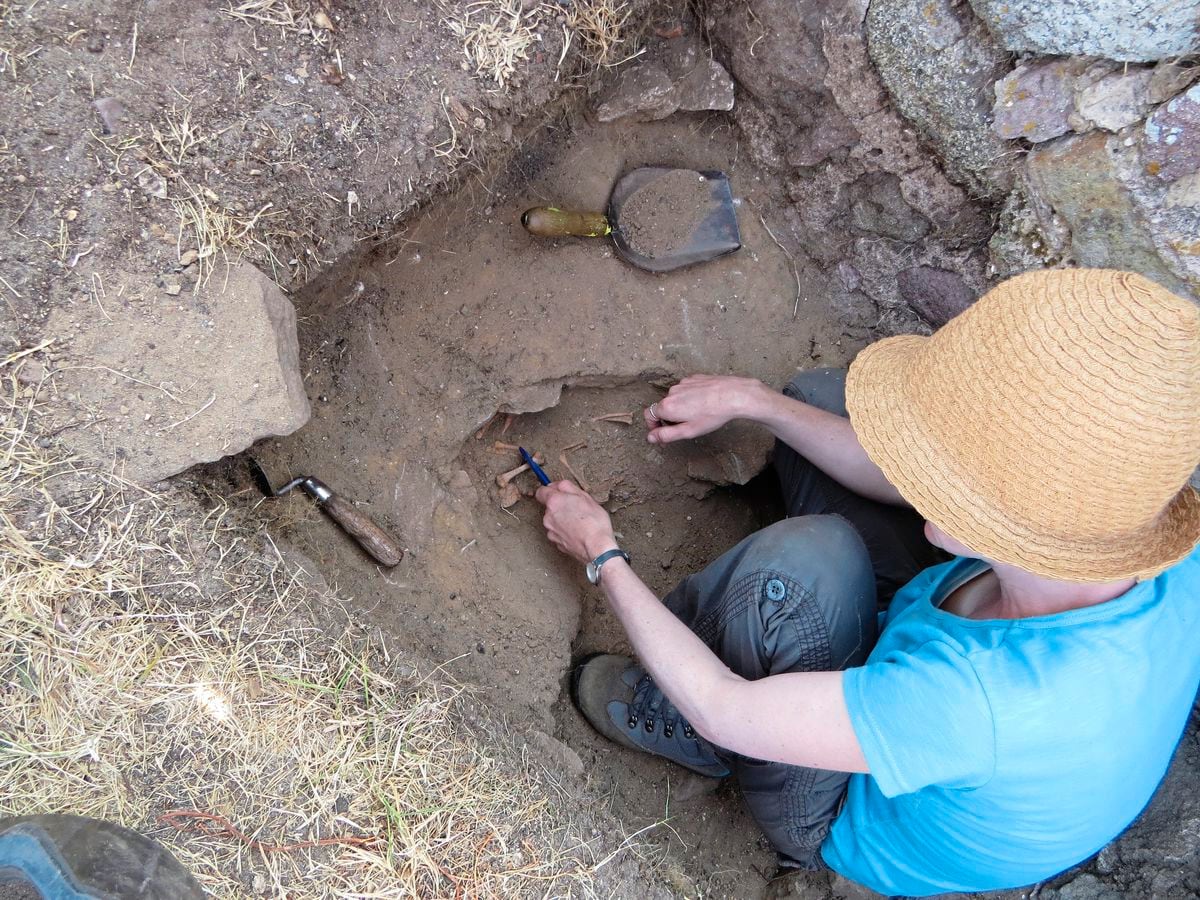 Archaeologists Throw Light On Mystery Of Baby Skull Find Guernsey Press