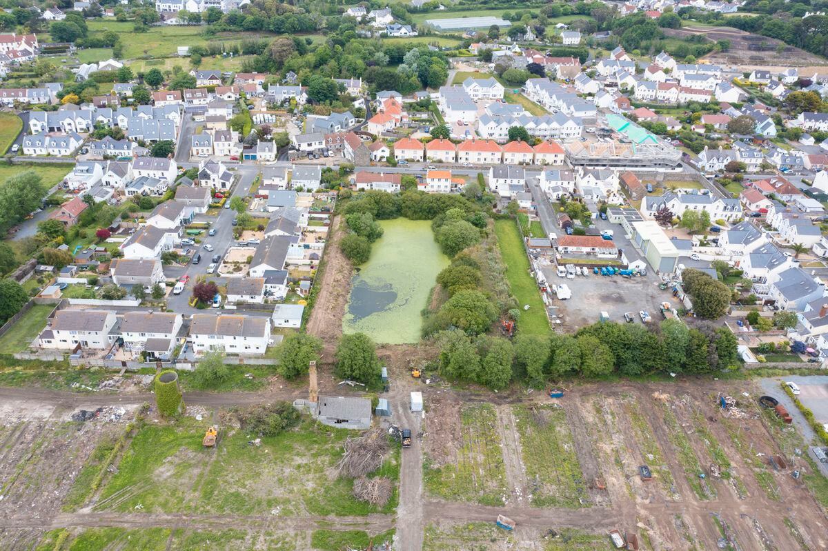 Drone image of States’ purchased Kenilworth Vinery site after the tree clearance. (Picture by Peter Frankland, 30850891)