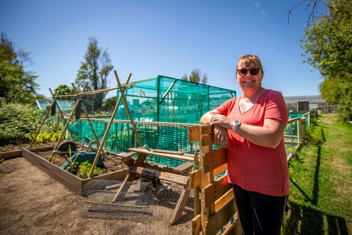 Jane King, who with her husband owns La Haute Lande Vinery on Les Abreuveurs Road, where allotments that they offered to tenants were snapped up overnight. (Picture by Sophie Rabey, 29622603)