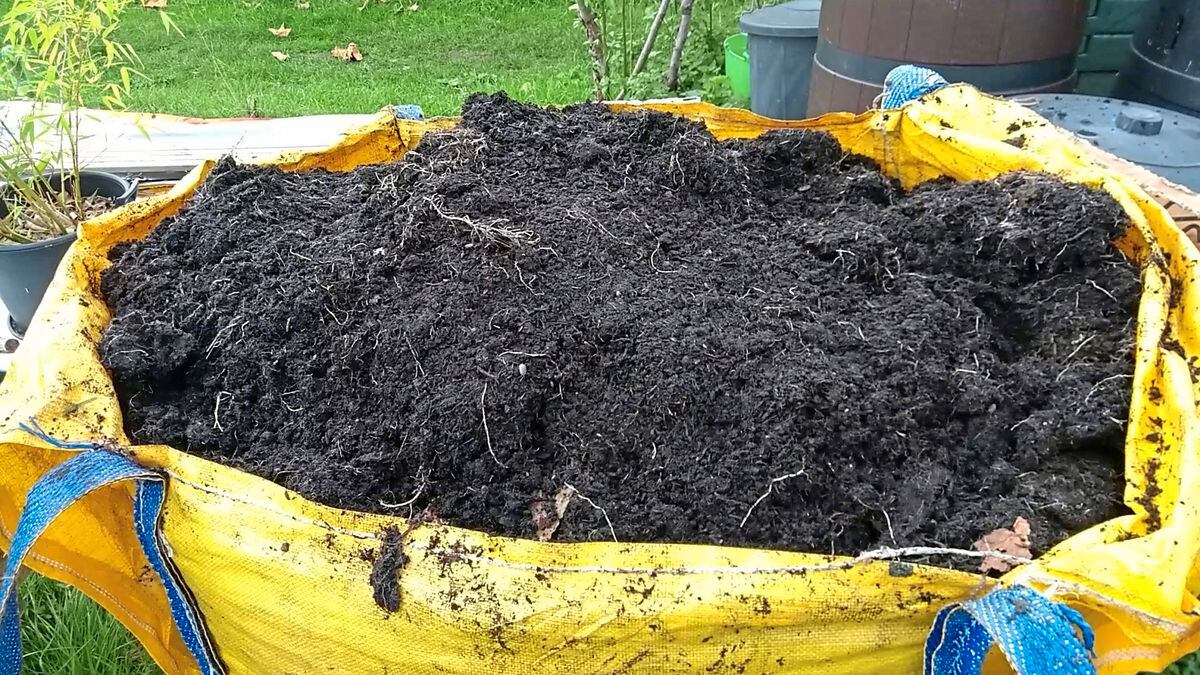 Spent compost at the plot. (Picture by Paul Savident) (30502208)