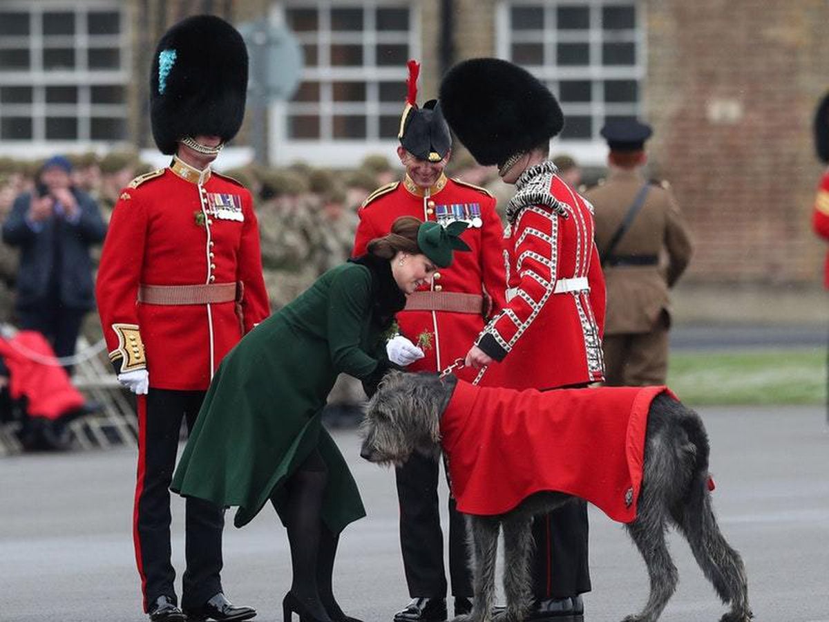 William and Kate brave weather at St Patrick's Day parade ...