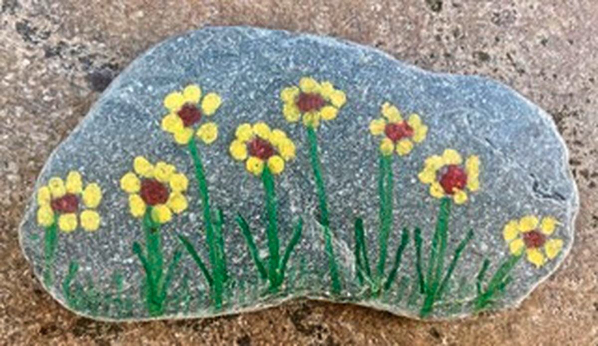 Painted pebbles from the Town Church community art gallery. Image supplied by Ruth Abernethy. (28254820)