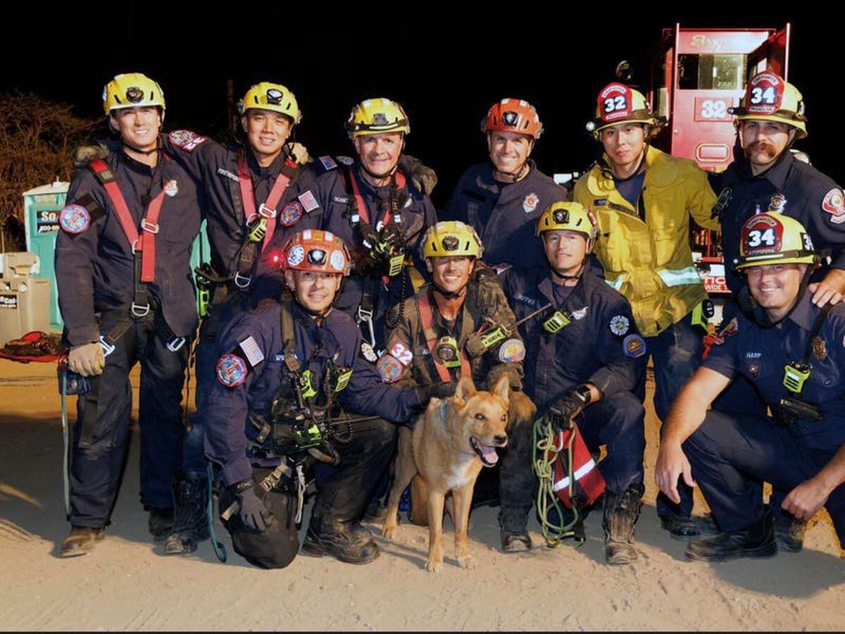 Blind dog rescued from California construction site hole