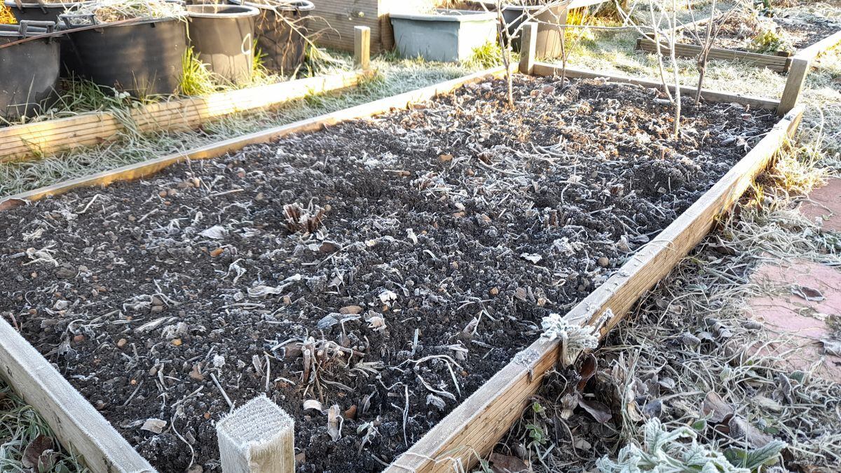 Frozen edged bed. (Picture by Paul Savident) (31724996)