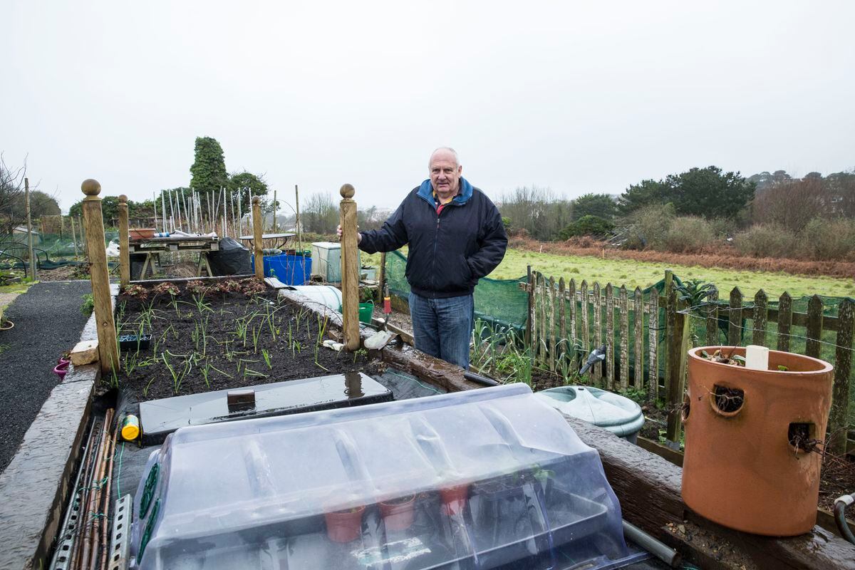 Douzenier Nigel Acton with new raised beds for people with reduced mobility. (Picture by Adrian Miller, 29622081)