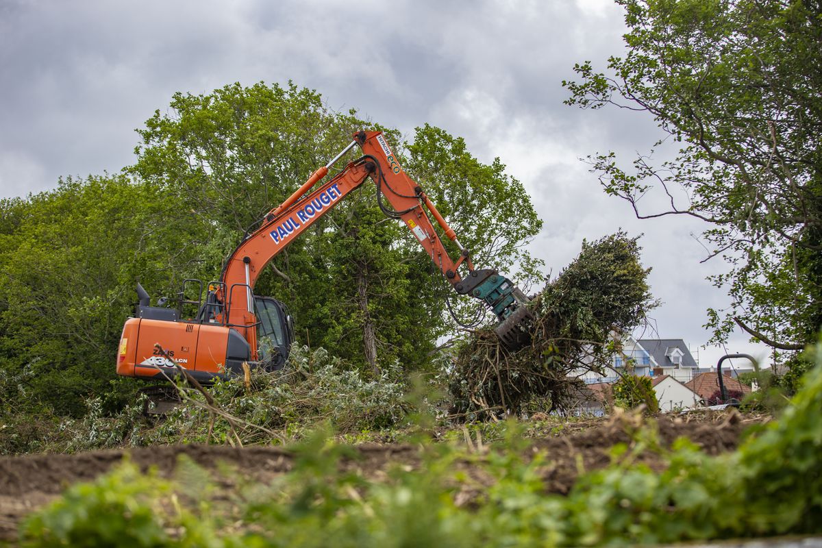 Neighbours of the former Kenilworth Vinery site are disappointed that trees are being cut down during nesting season. (Picture by Peter Frankland, 30850374)