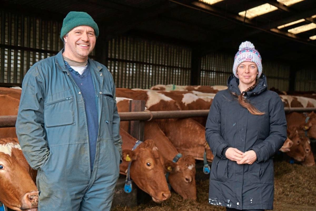 Dairy industry attains RSPCA Assured status | Guernsey Press