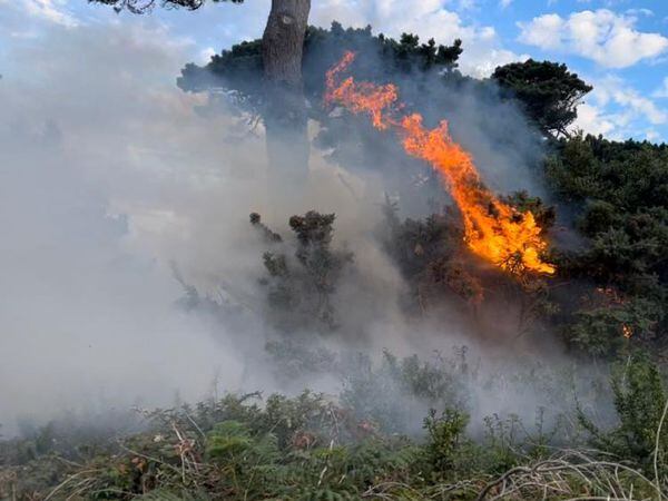 A fire at Bon Port. Picture supplied by the Guernsey Fire & Rescue Service. (31139364)