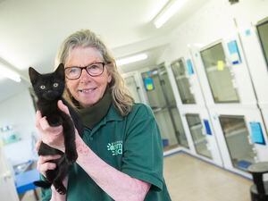 Guernsey Animal Aid's Sue Vidamour. (Picture by Peter Frankland, 31914347)