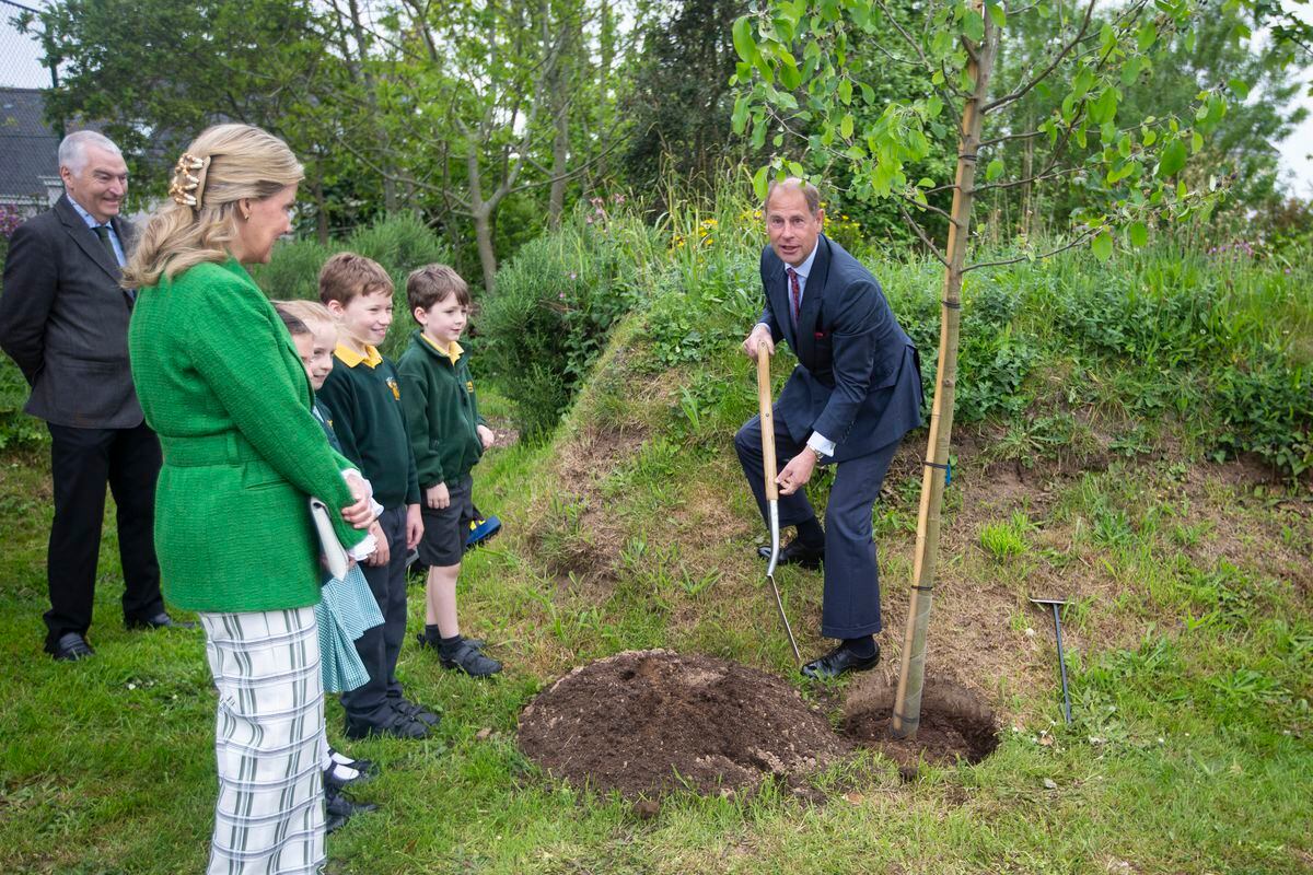 The Royal couple planted a tree in the school field. (30803219)