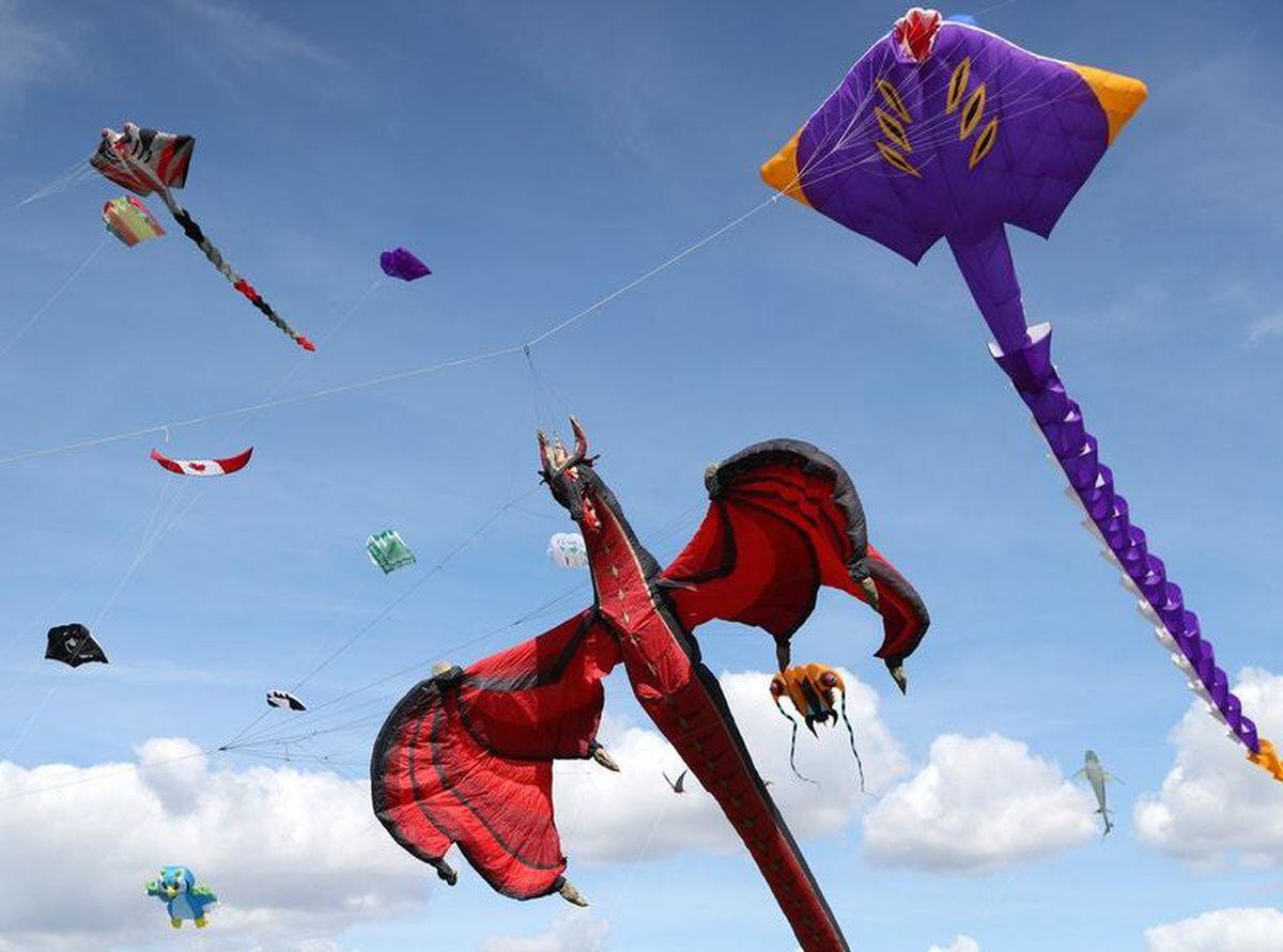 Just 15 Soothing Gifs Of Kites To Calm You Down On National Kite Flying