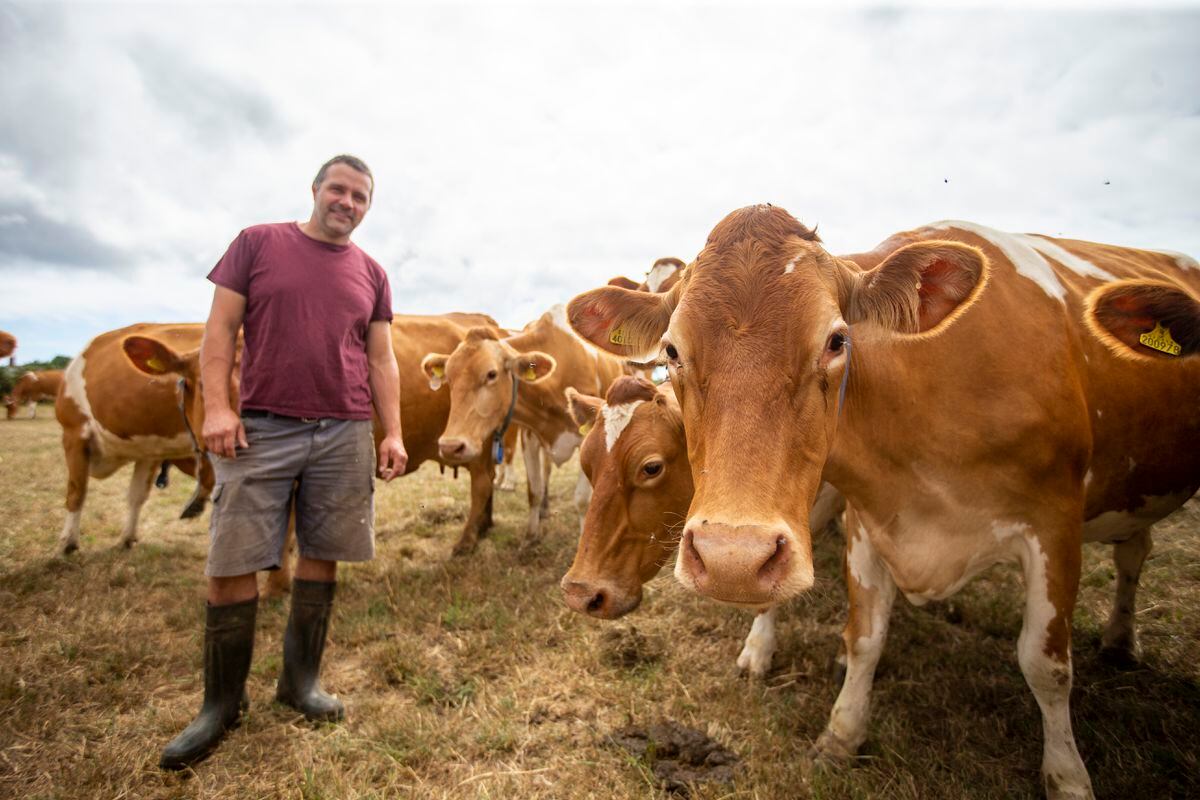 Guernsey Farmers’ Association president Michael Bray has not known such desperate times in his 11 years in the industry. (Picture by Luke Le Prevost, 31098142)