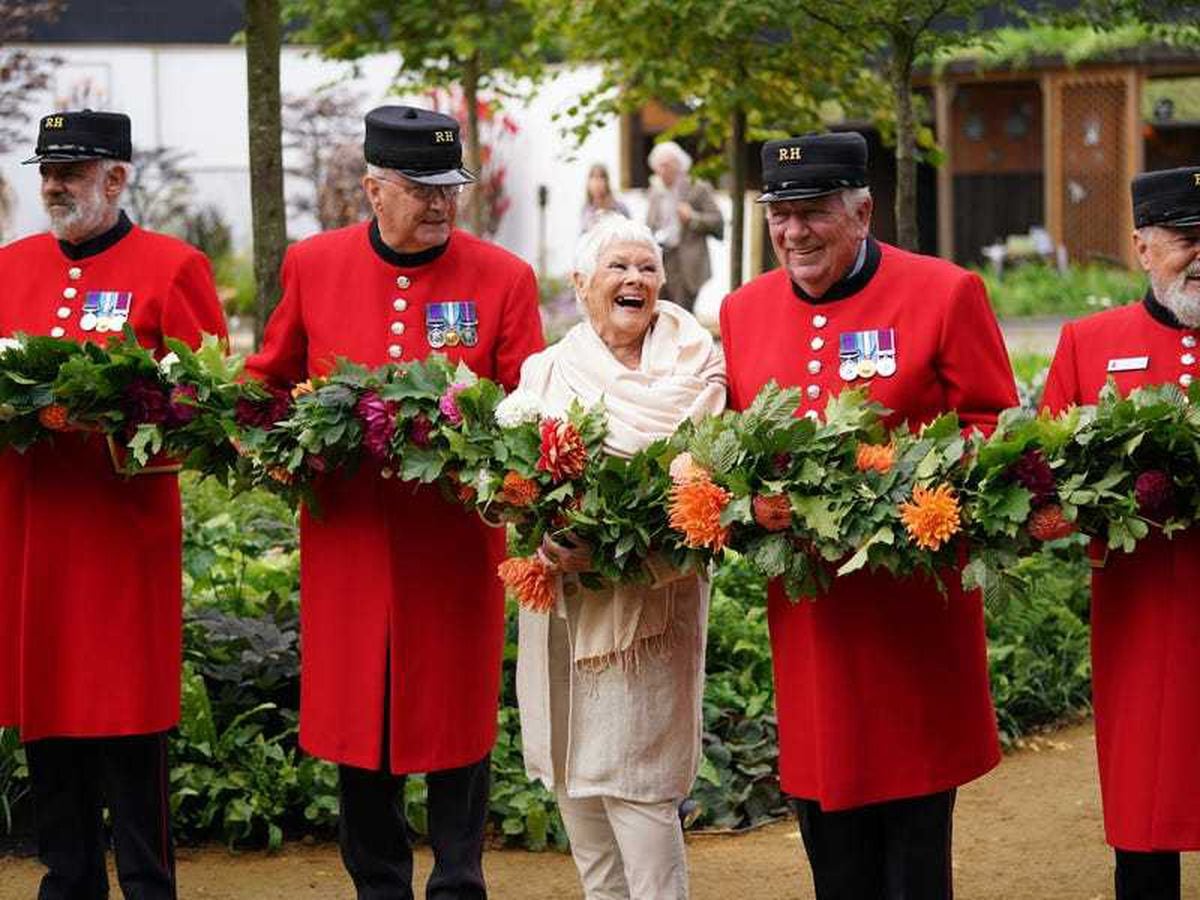 autumn-chelsea-flower-show-features-different-blooms-and-call-to-plant