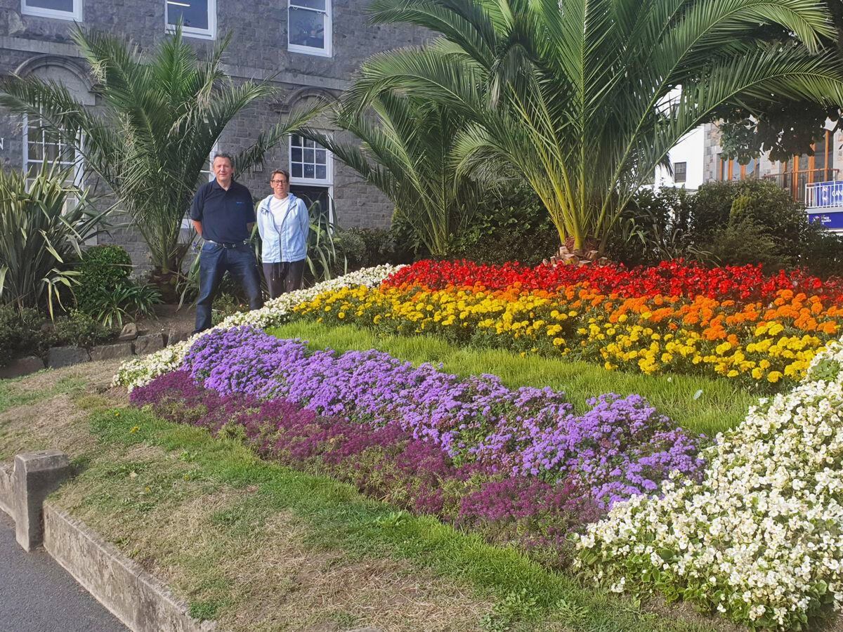 Flowerbed of State by Dorothy St. James