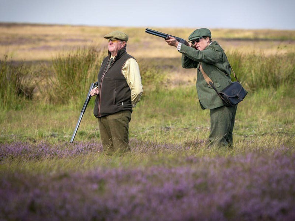 Grouse shooting underway on Glorious Twelfth as land management debate ...