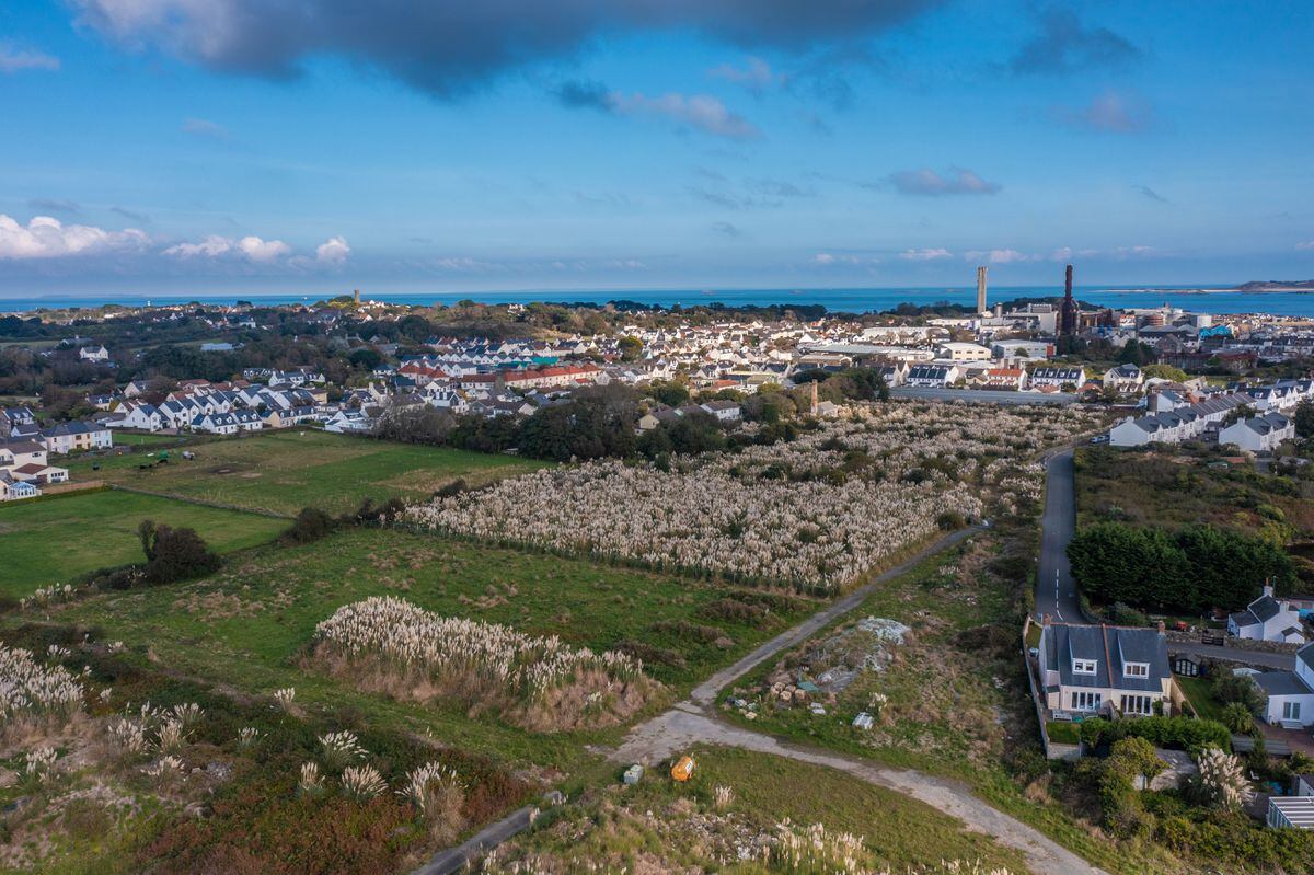 Last month, the States bought the former Kenilworth vinery site on behalf of the GHA, in anticipation of 130 new houses being built between Saltpans and Braye Road. (Picture by Peter Frankland, 30138709)