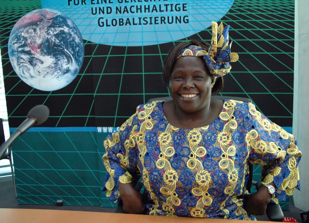 MAY 26, 2005 - BERLIN: Nobem Prize laureate Wangari Maathai of Kenia befor a discussion panel in the Marie-Elisabeth-Lueders-Haus, Berlin. (29295401)