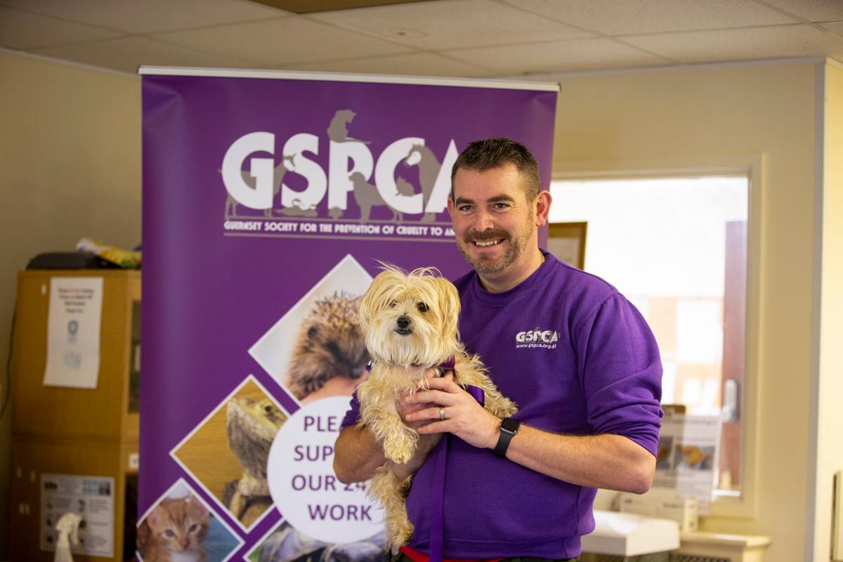 GSPCA manager Steve Byrne with Molly at the animal shelter’s 149th anniversary event last month. (Picture by Luke Le Prevost, 30633456)