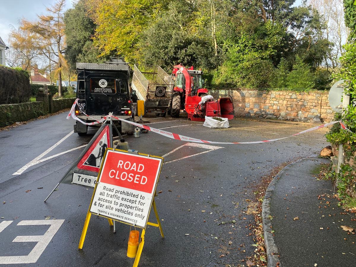Tree surgeons from Special Branch work to clear the road yesterday morning after a fallen tree blocked traffic access at Mont D'Aval. (31497454)