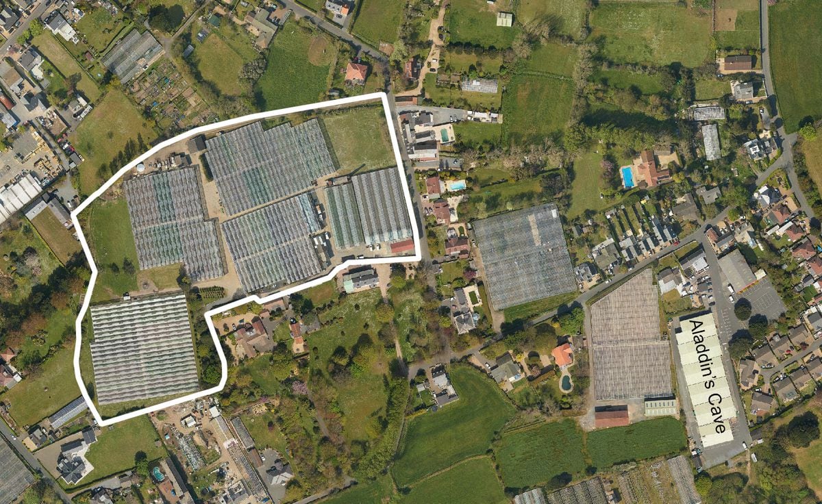 Guernsey Herbs has applied for permission to turn the vinery in Les Abreuveurs Road into a solar farm. (Picture by Peter Frankland, 32539032)