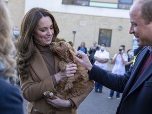 Kate jokes her dog will be ‘upset’ after she enjoys cuddle with therapy pup