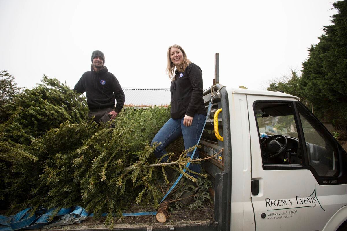 Christmas tree collection service will help out zoo Guernsey Press