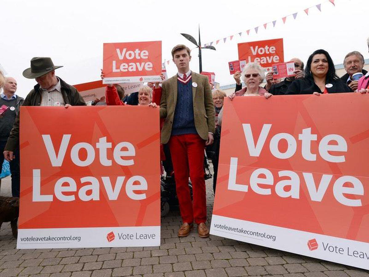 Vote Leave chief could face contempt charge for refusing to answer ...