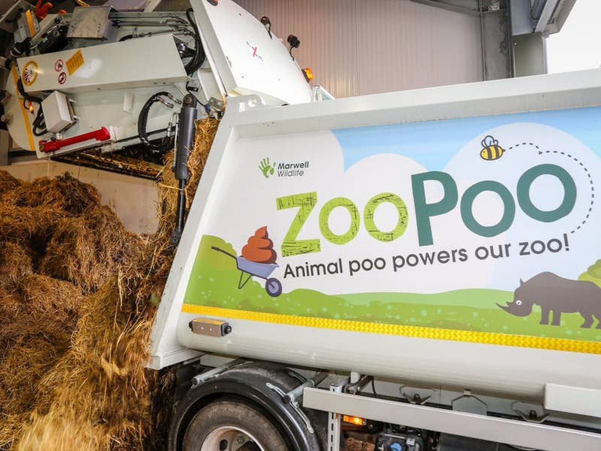 Zoo turns poo into power to heat tropical house