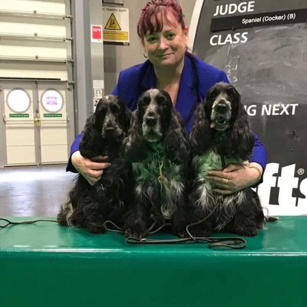 Derryn at Crufts this year with all three of her Cockers, from left, Norah, Freddie and Alice. Norah was second in her class of 15 and qualified for Crufts 2023. (31204882)